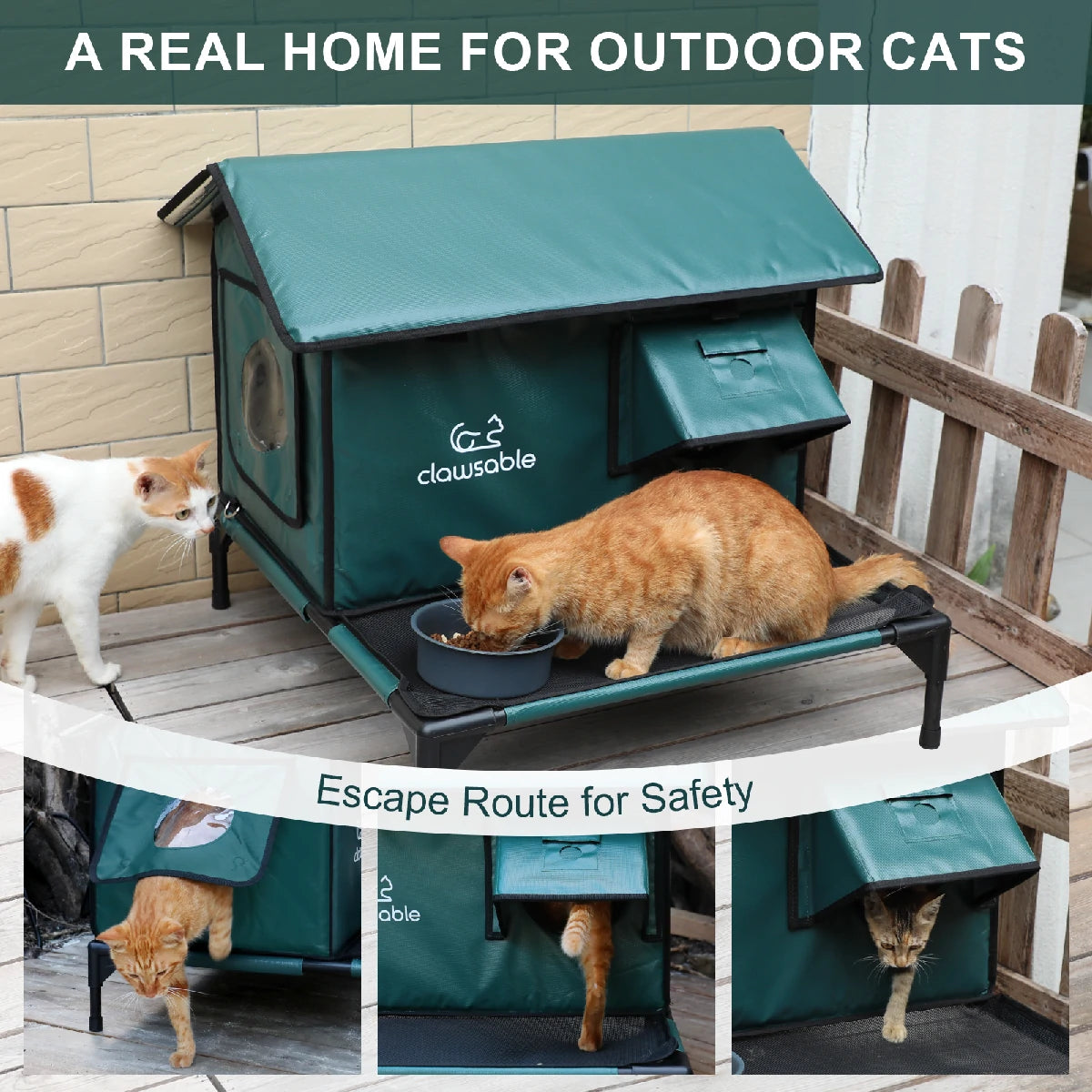 Weatherproof outdoor cat house with raised platform and escape door, designed to keep feral and outdoor cats safe, warm, and comfortable in all seasons